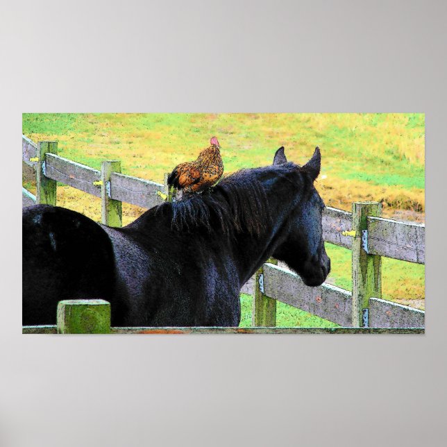 Rooster and Mare Poster (Front)