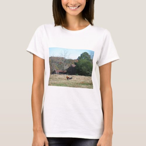 Rooster at the Farm Photo by Sandy Closs T_Shirt