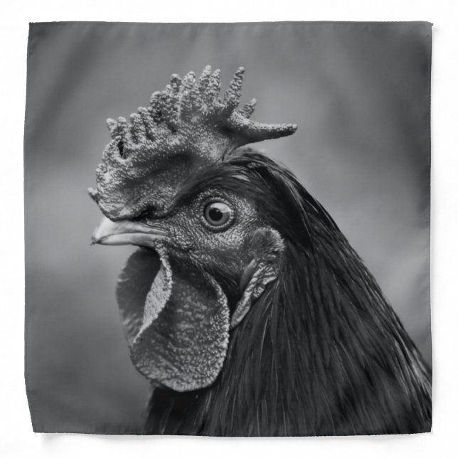 Rooster Black and White Bandana (Front)