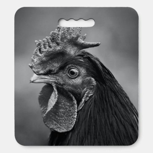 Rooster Black and White Seat Cushion