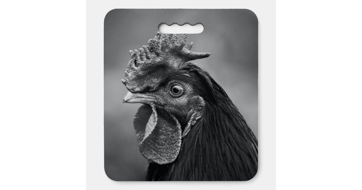 Rooster Black and White Seat Cushion Zazzle