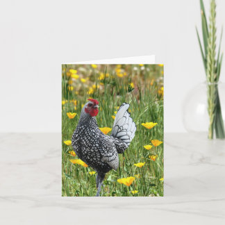 Rooster, Blank Card