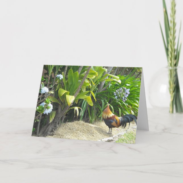 Rooster Blank Nature Card (Front)