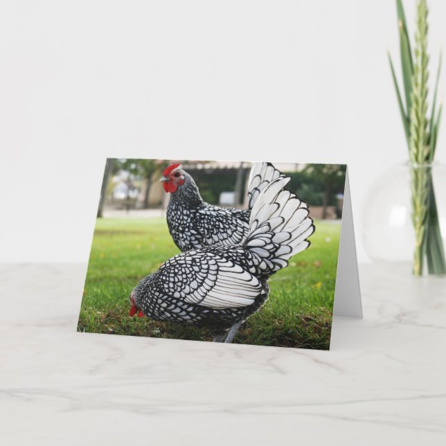 Rooster Blank Note Card (Front)