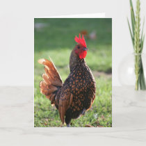 Rooster, Blank Note Card