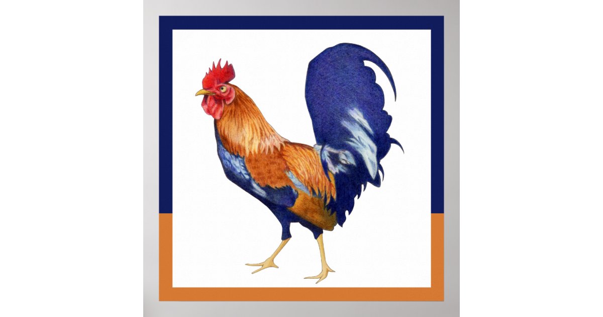 Rooster border Poster | Zazzle