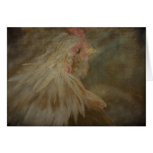 Rooster Cards (Front Horizontal)