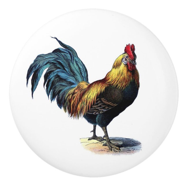 Rooster Ceramic Knob (Front)