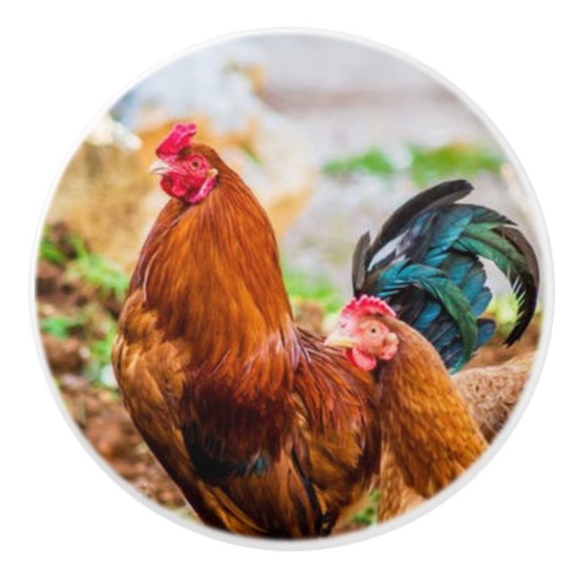 rooster ceramic knobs (Front)