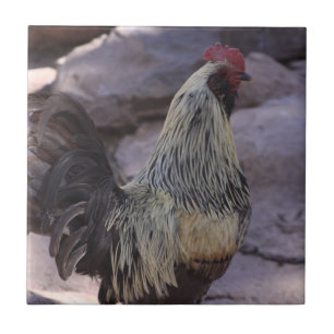 Rooster Ceramic Tile