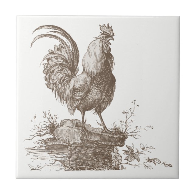 Rooster charming sepia tone illustration ceramic tile (Front)
