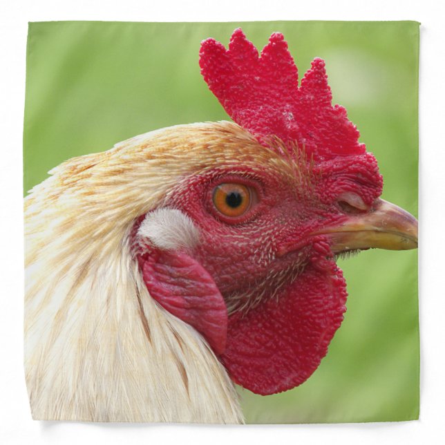 rooster, chicken, animal, bird, design, farm, bandana (Front)