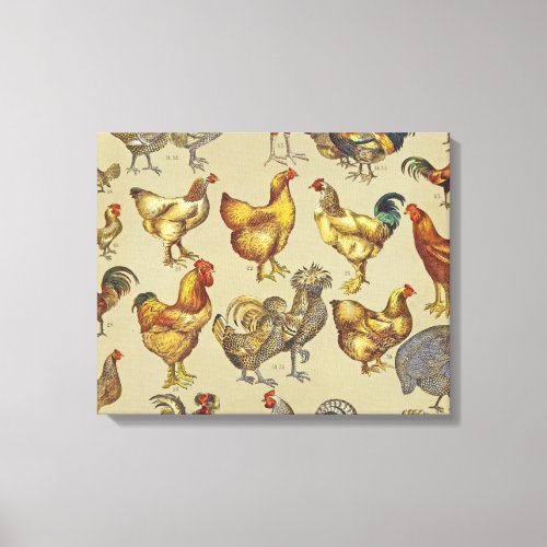 Rooster Chicken Farm Animal Poultry Country Canvas Print