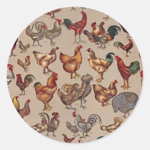 Rooster Chicken Farm Animal Poultry Country Classic Round Sticker