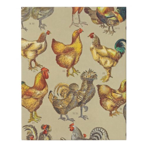 Rooster Chicken Farm Animal Poultry Country Faux Canvas Print