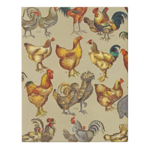 Rooster Chicken Farm Animal Poultry Country Faux Canvas Print