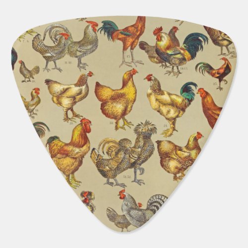 Rooster Chicken Farm Animal Poultry Country Guitar Pick