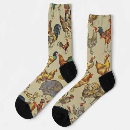 Rooster Chicken Farm Animal Poultry Country Socks