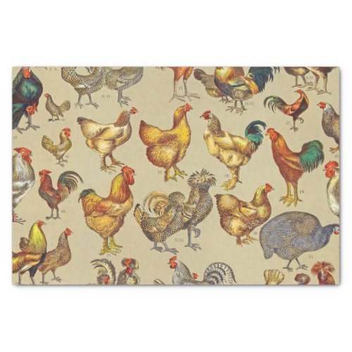 Rooster Chicken Farm Animal Poultry Country Tissue Paper