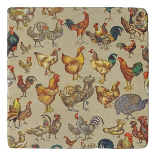 Rooster Chicken Farm Animal Poultry Country Trivet