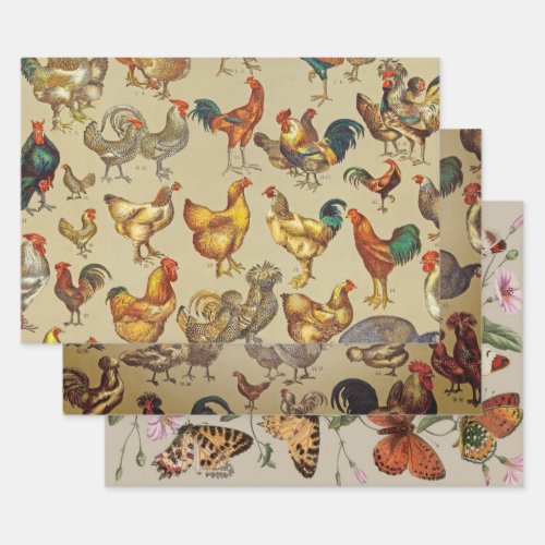 Rooster Chicken Farm Animal Poultry Country Wrapping Paper Sheets