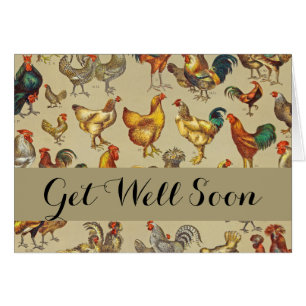 Rooster Chicken Farm Country Animal