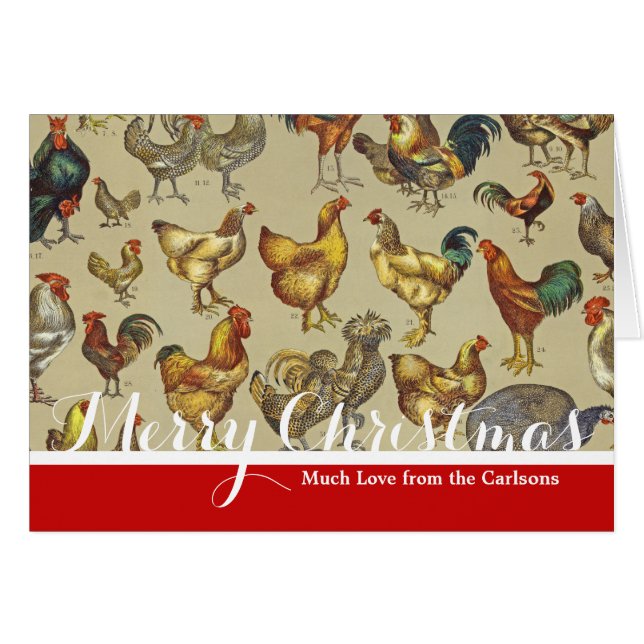 Rooster Chicken Farm Country Animal (Front Horizontal)