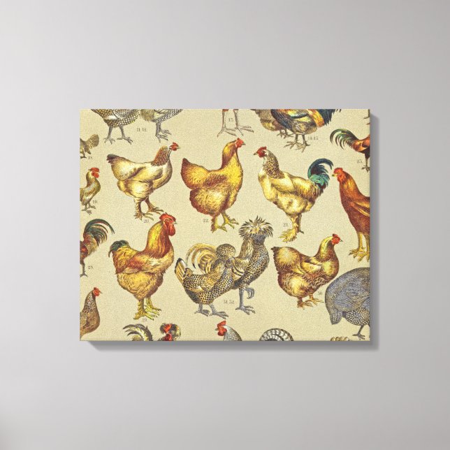 Rooster Chicken Farm Country Animal Canvas Print (Front)