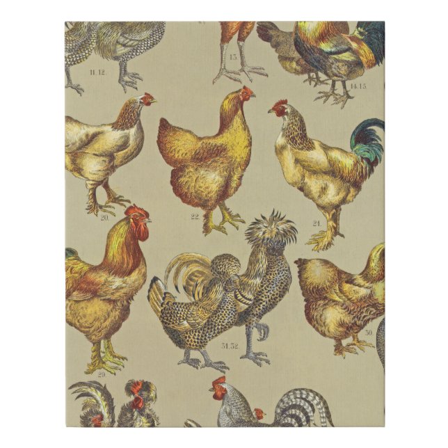 Rooster Chicken Farm Country Animal Faux Canvas Print (Front)