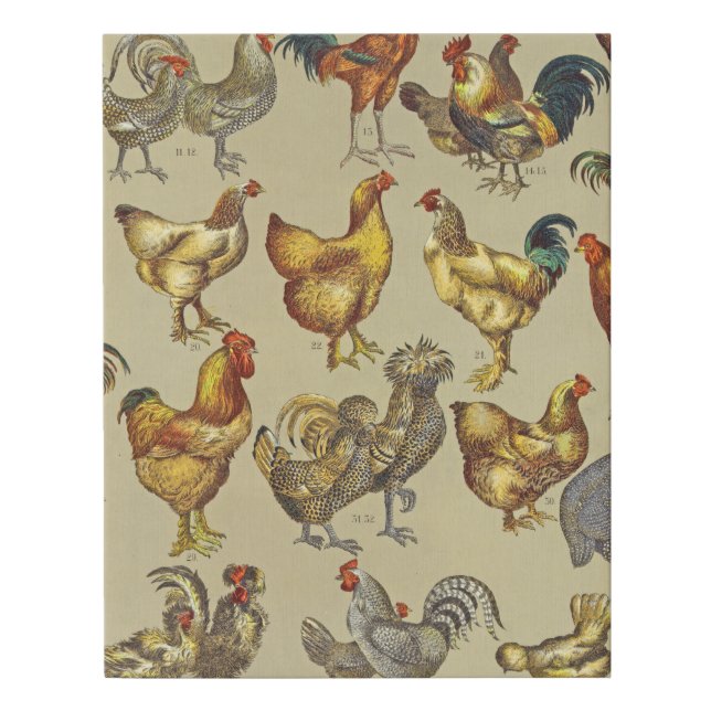 Rooster Chicken Farm Country Animal Faux Canvas Print (Front)