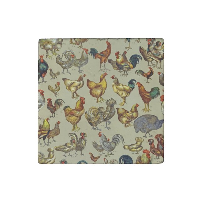 Rooster Chicken Farm Country Animal Stone Magnet (Fourth Magnet)