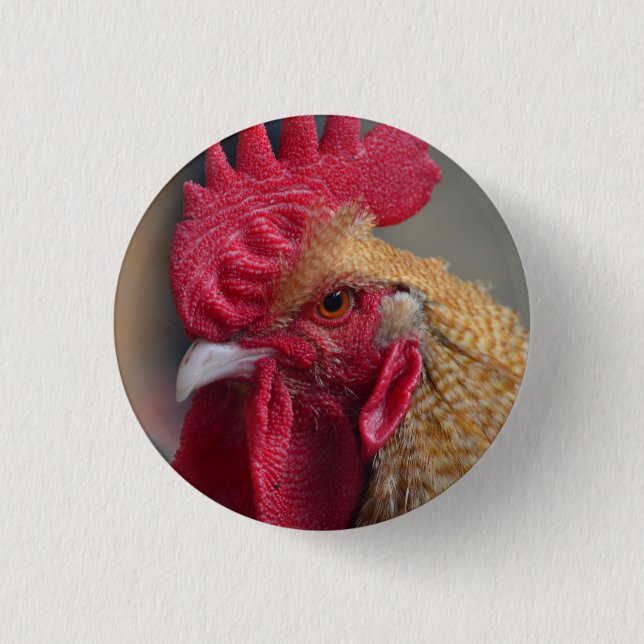 Rooster Chicken Pinback Button (Front)