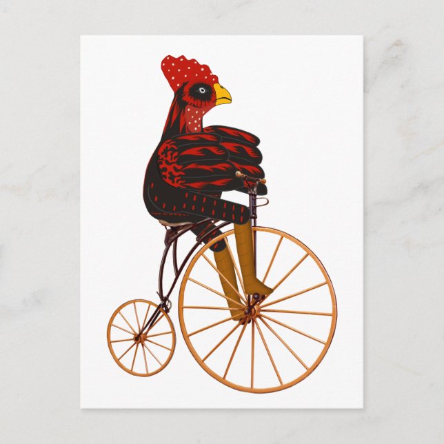 Rooster Chicken Riding A Vintage Bicycle  Postcard (Front)