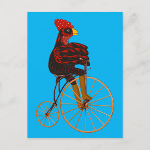 Rooster Chicken Riding A Vintage Bicycle Postcard