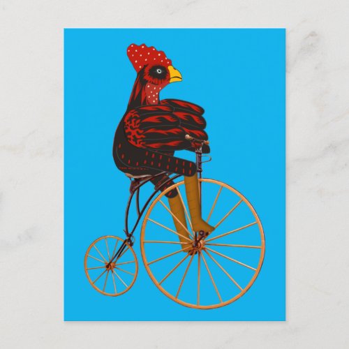 Rooster Chicken Riding A Vintage Bicycle  Postcard