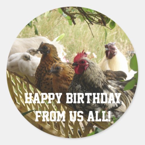Rooster Chickens Happy Birthday from Us All Card Classic Round Sticker