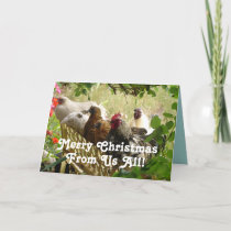 Rooster Chickens Merry Christmas from Us All Card