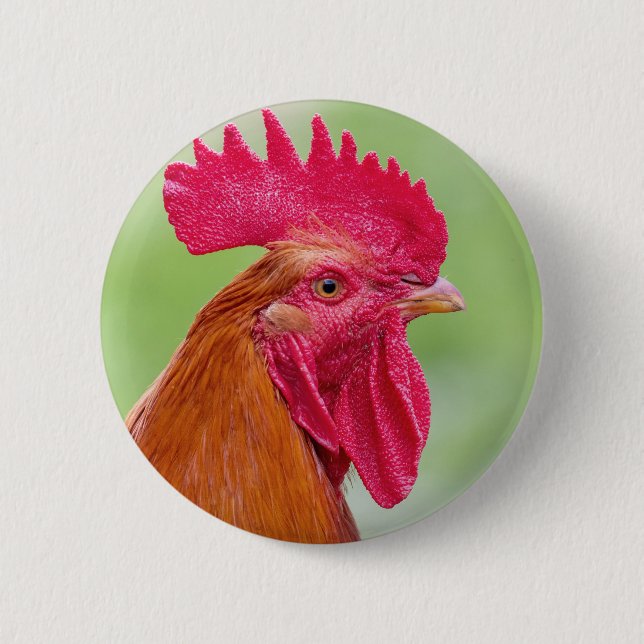 Rooster Close-Up Button (Front)