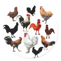 Rooster Collage Vintage Rustic Chickens Classic Round Sticker