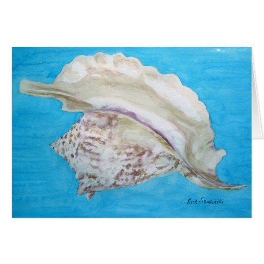Rooster conch (Front Horizontal)