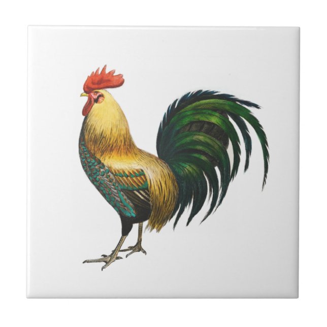 Rooster country classic stylish traditional bird   ceramic tile (Front)
