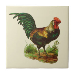Rooster Country Kitchen Ceramic Tile