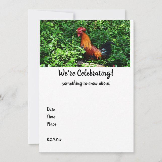 Rooster Crowing  (Front)