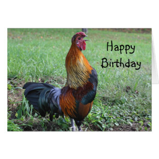 Animal Birthday Cards | Zazzle