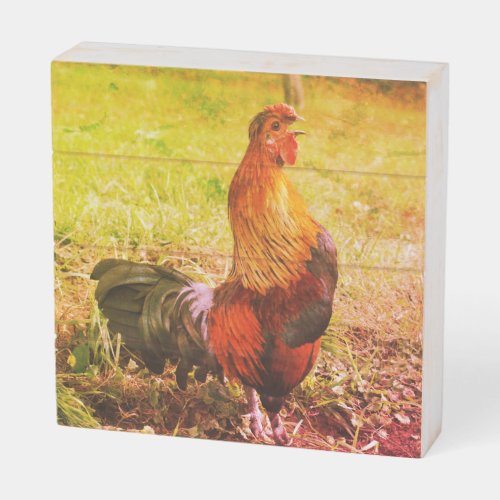 Rooster Crowing Farm Animal Distressed Wooden Box Sign