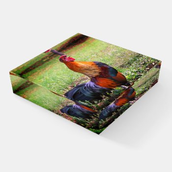 Rooster Crowing Farm Animal  Paperweight by SmilinEyesTreasures at Zazzle