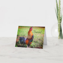 Rooster Crowing Farm Animal Thank You Card
