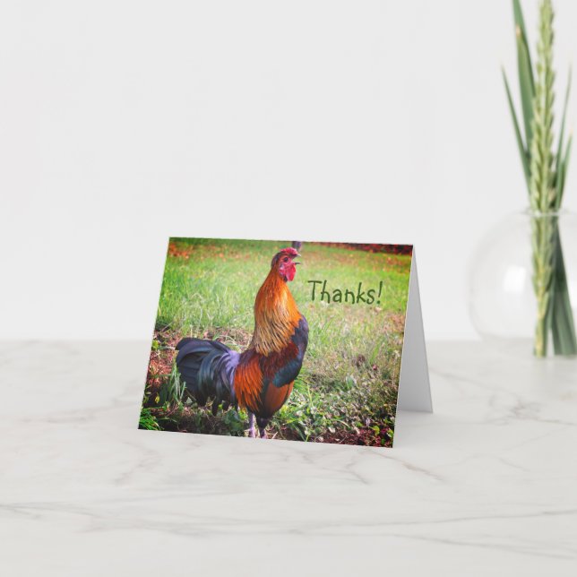 Rooster Crowing Farm Animal Thank You Card (Front)