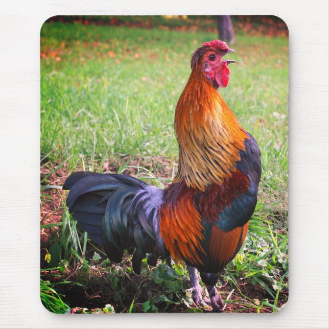 Rooster Crowing Nature  Mouse Pad (Front)