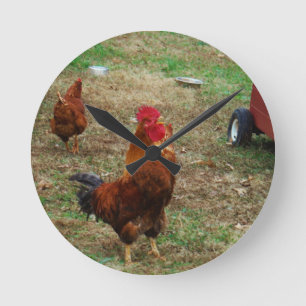 Rooster Crowing Round Clock